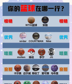篮球教育最好的学校排名