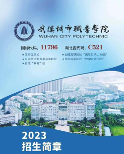 武汉城市职业学院是本科吗