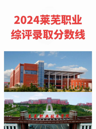 2024年清华大学和莱芜职业技术学院对比数据