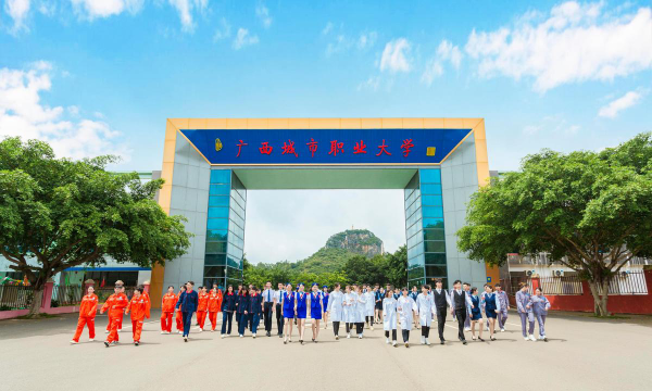 广西城市职业大学是公办还是民办院校?