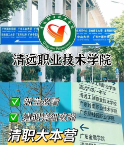 2024年清华大学和清远职业技术学院对比数据