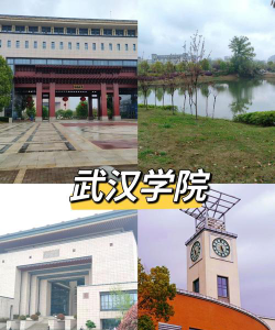 武汉学院是本科吗
