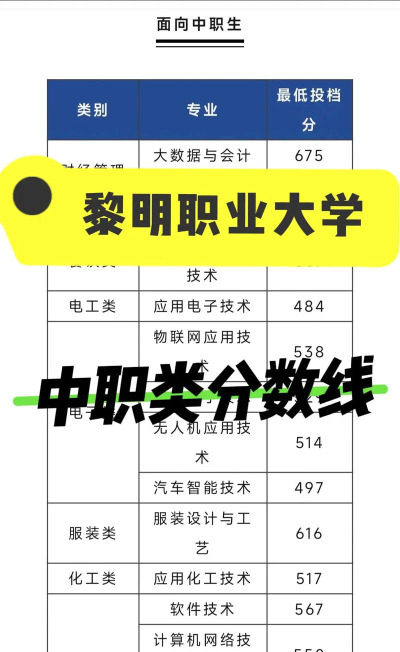 2024年北京科技大学和黎明职业大学对比数据
