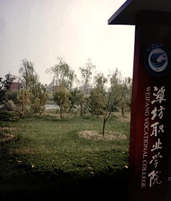 潍坊职业学院是本科吗