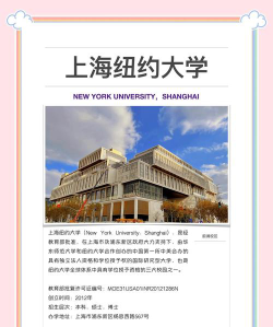 上海纽约大学是公办本科吗