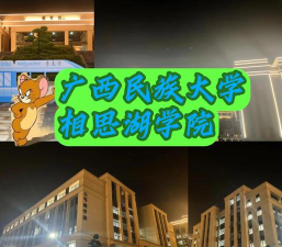广西民族大学相思湖学院是公办还是民办院校?