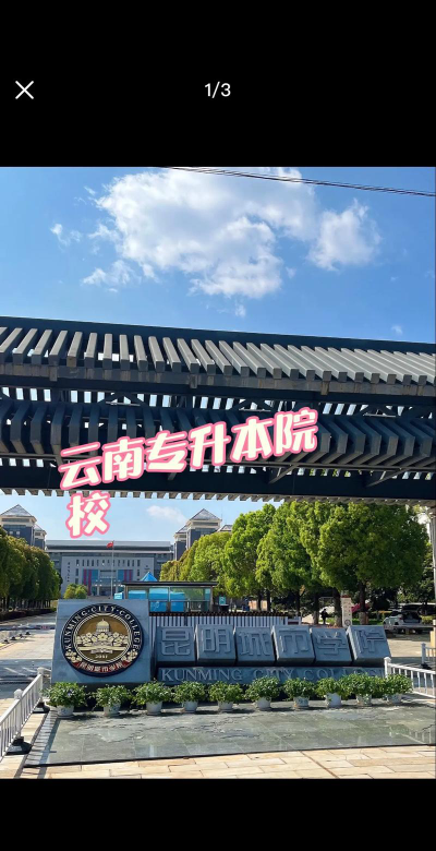 昆明城市学院是公办还是民办院校?