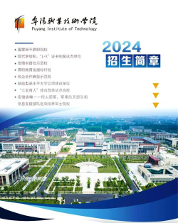 阜阳职业技术学院是公办还是民办院校?