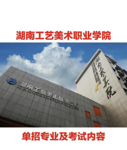 湖南工艺美术职业学院是公办专科吗