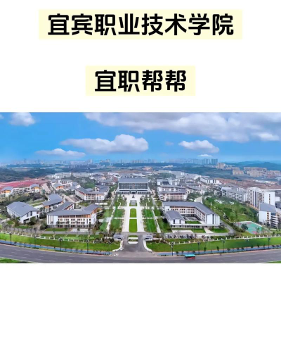 宜宾职业技术学院是公办专科吗