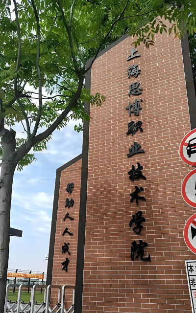 上海思博职业技术学院是公办专科吗