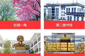 2024年北京电子科技学院和昆明卫生职业学院对比数据