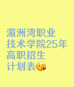 湄洲湾职业技术学院是公办专科吗