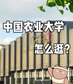 2024年中国农业大学和中北大学对比数据