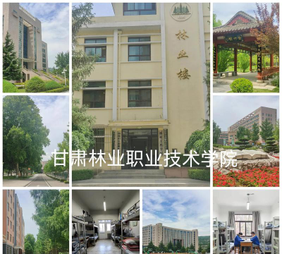 甘肃林业职业技术学院是本科吗