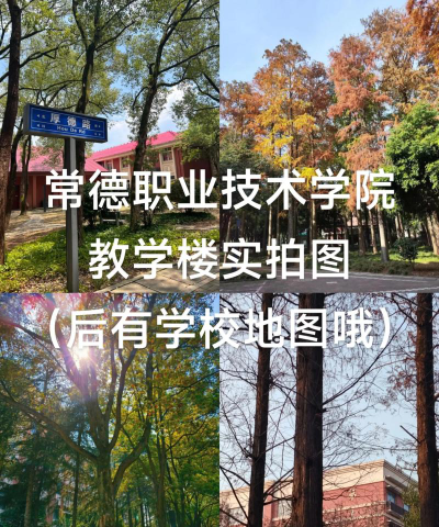 常德职业技术学院是本科吗
