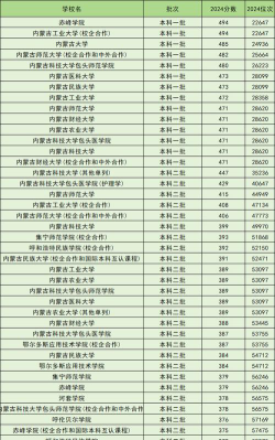 2024年内蒙古307分能报的大学有哪些