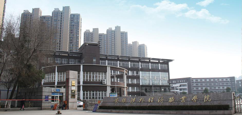 安徽涉外经济职业学院是公办专科吗
