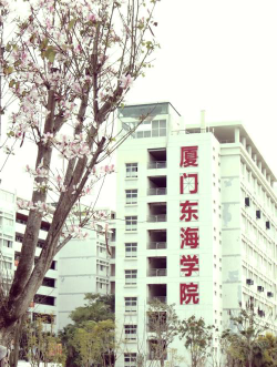 厦门东海职业技术学院是本科吗