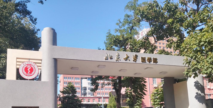 北京大学医学部是民办本科吗