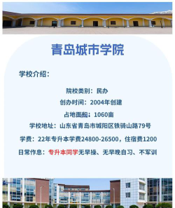 青岛城市学院是民办专科吗