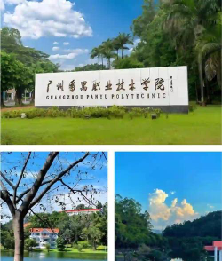 广州番禺职业技术学院是专科吗