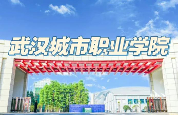 武汉城市职业学院是民办专科吗