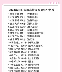 2024年山东301分能报的大学有哪些
