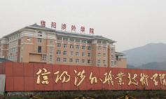信阳涉外职业技术学院是985大学吗