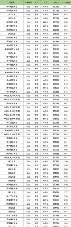 2024年湖北238分能报的大学有哪些