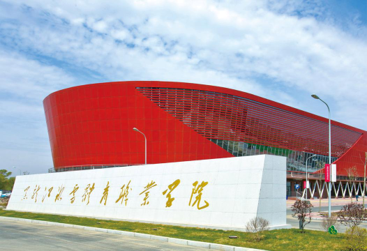 黑龙江冰雪体育职业学院是985大学吗