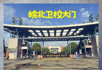 皖北卫生职业学院是985大学吗