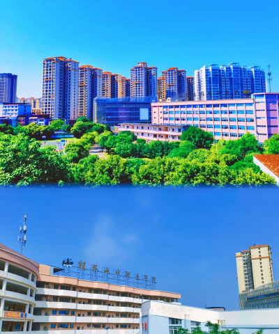 桂林山水职业学院是专科吗