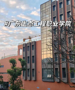 广东环境保护工程职业学院是专科吗