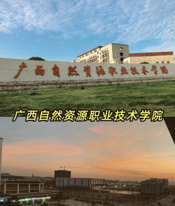 广西自然资源职业技术学院是985大学吗