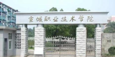 宣城职业技术学院是985大学吗