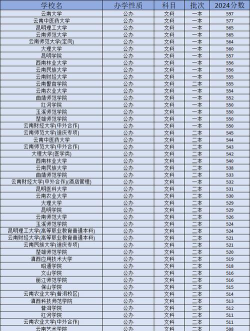 2024年云南367分能报的大学有哪些
