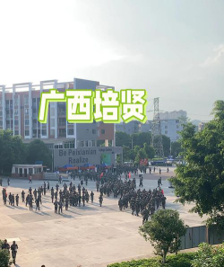 广西培贤国际职业学院官网地址是什么