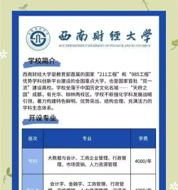 西南财经大学是211大学吗