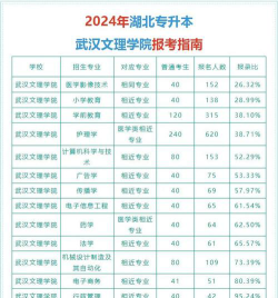 武汉文理学院2023年在云南各专业招生人数