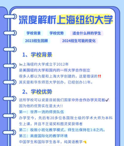 上海纽约大学2023年在云南各专业招生人数