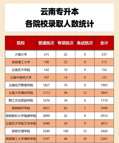 桐城师范高等专科学校2023年在云南各专业招生人数