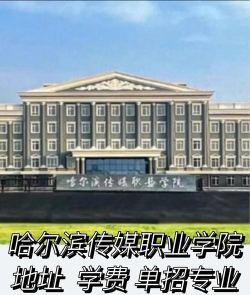 哈尔滨传媒职业学院2023年在云南各专业招生人数