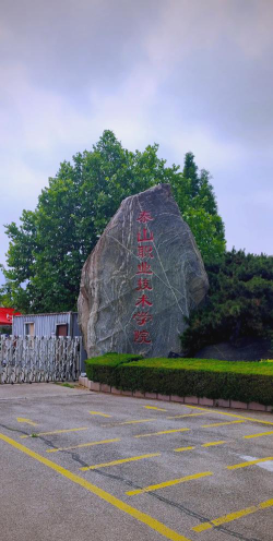 泰山职业技术学院官网地址是什么