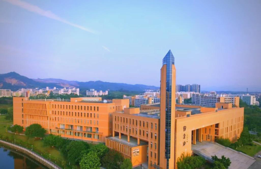 河源职业技术学院是211大学吗