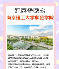 南京理工大学紫金学院是985大学吗