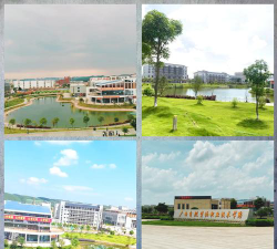 广西自然资源职业技术学院是211大学吗