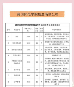 黄冈师范学院2023年在西藏各专业招生人数
