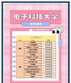电子科技大学2023年在西藏各专业招生人数