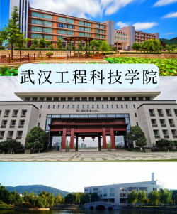 武汉工程科技学院是211大学吗